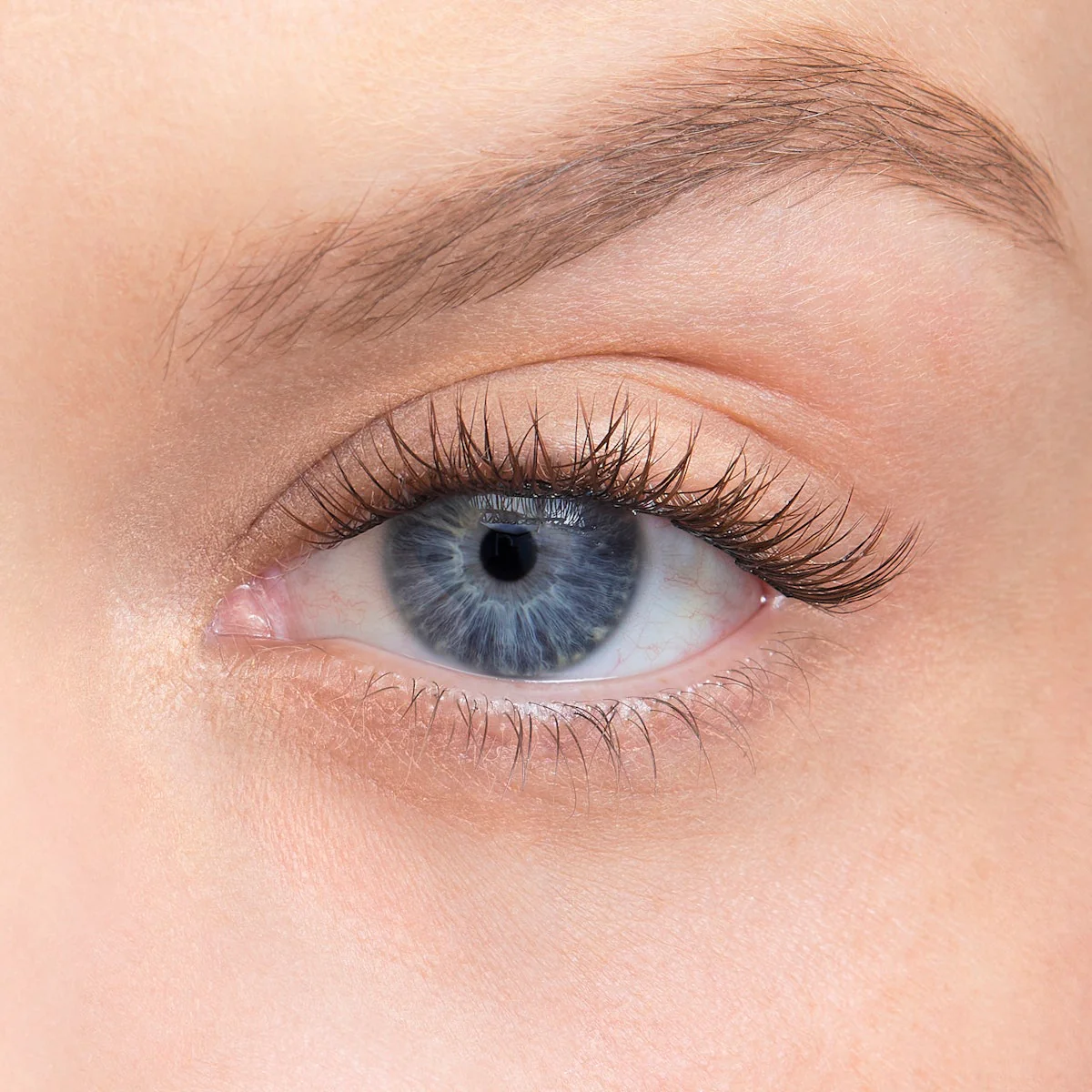 Product image 101