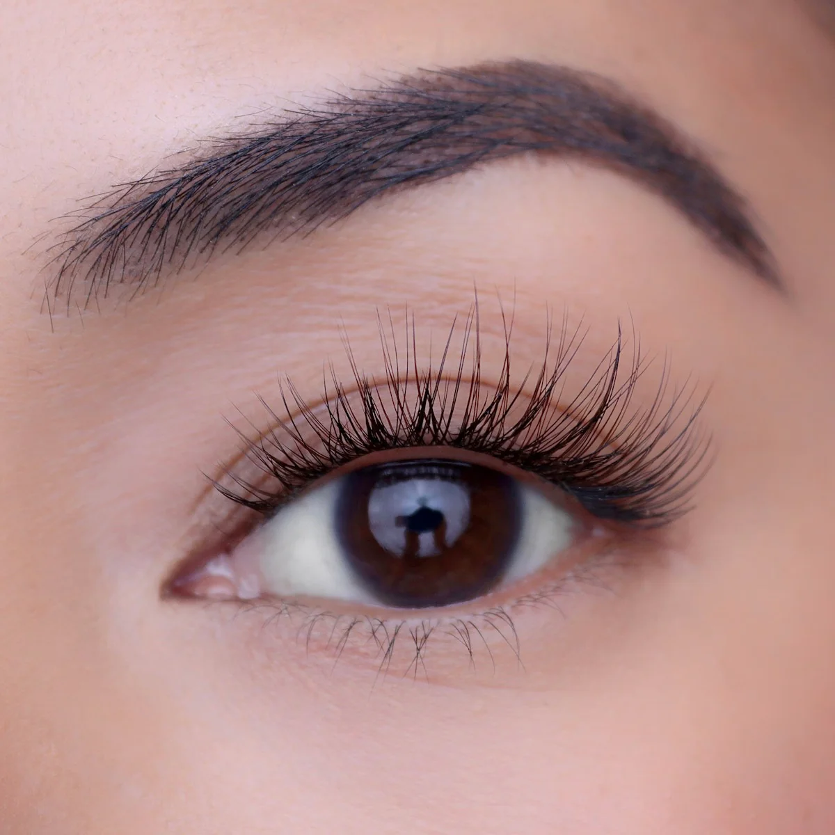 Product image 144