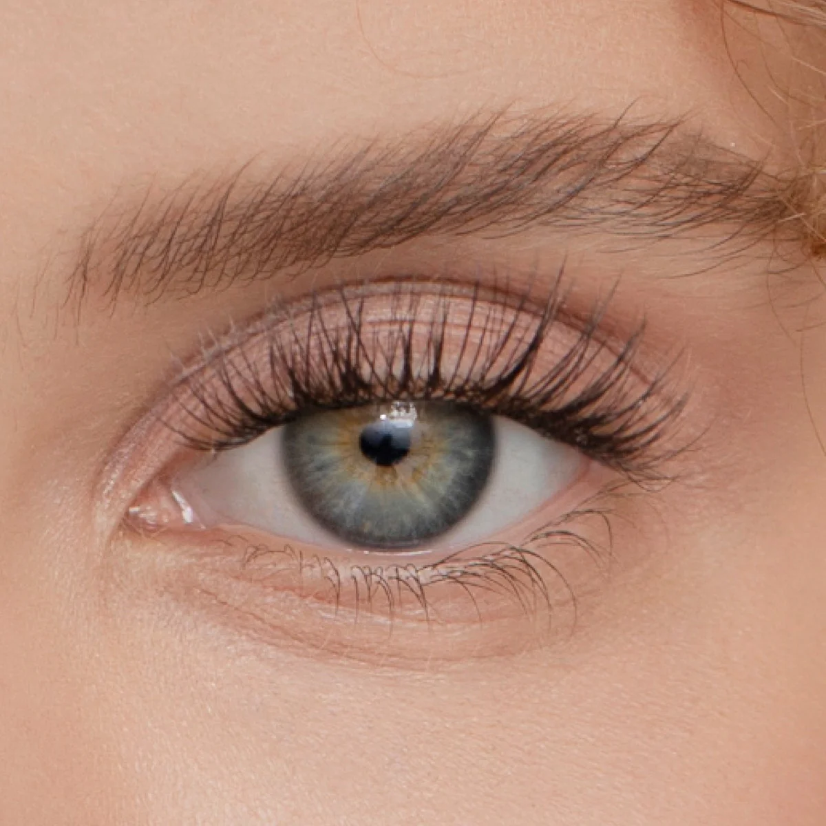 Product image 145